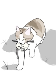 十八线男配上位（校园1V1）