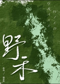野禾（伪兄妹、bdsm）